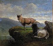 unknow artist Chamois in the mountains painting